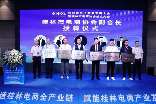 大咖云集 桂林市电子商务发展大会暨桂林市电商协会成立大会召开